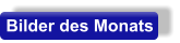 Bilder des Monats