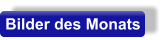 Bilder des Monats